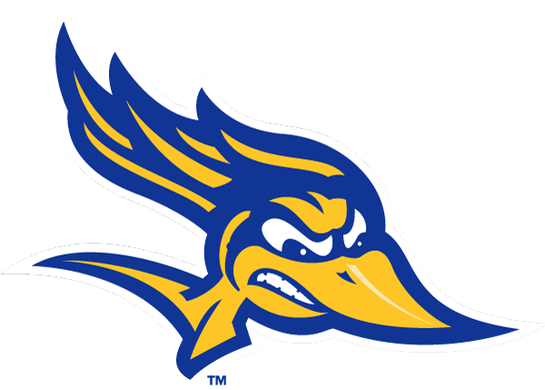 Roadrunner mascot head logo